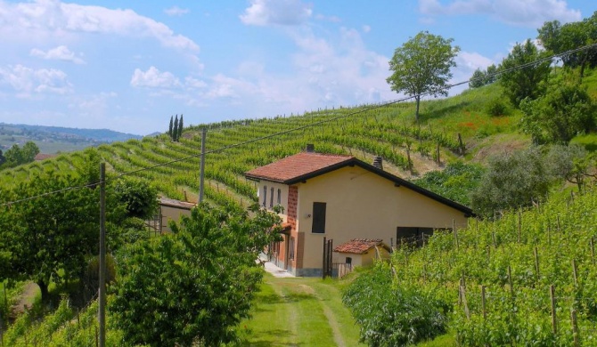 Cascina tra i vigneti a Nizza Monferrato