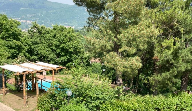 Villa Gioia relax immersi nel verde