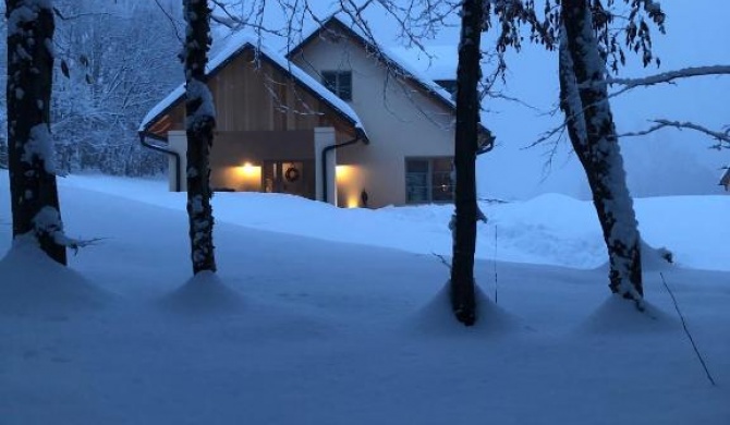 Loft Naturalpina Dolomiti Farm