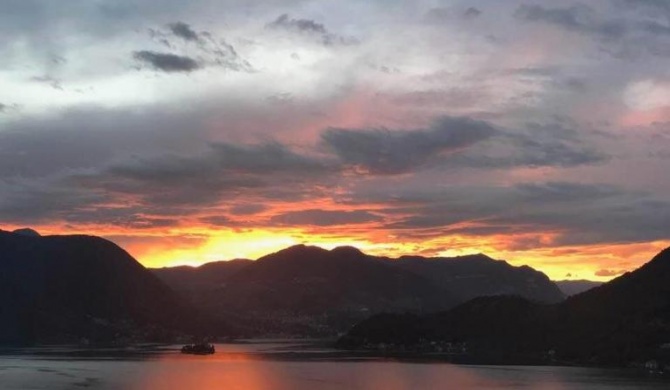 Lake Iseo - Gli ulivi