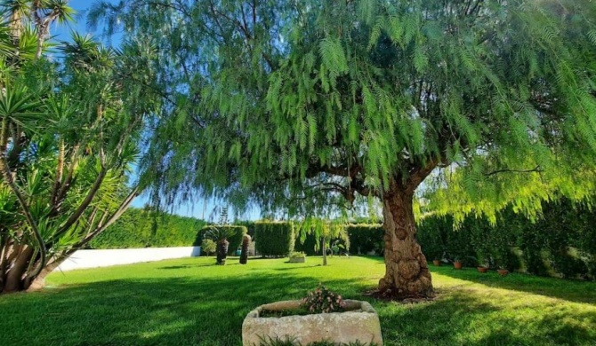 Apulian House Garden