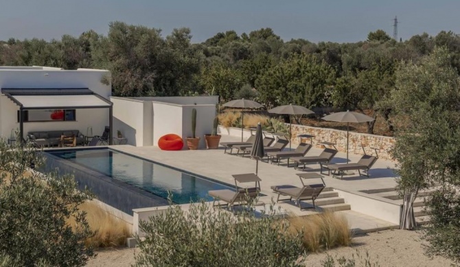 New Villa Aspri with Infinity Pool 1km from the sea