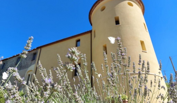 Fattoria La Campigliola