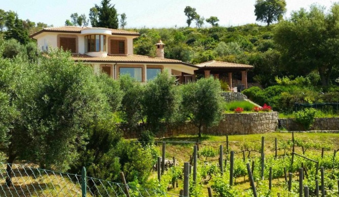 UVA e STELLE MAISON in collina di Sperlonga