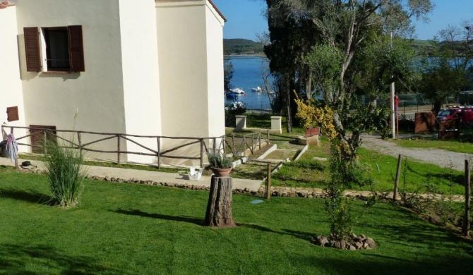 I Fiori nel golfo di Baratti