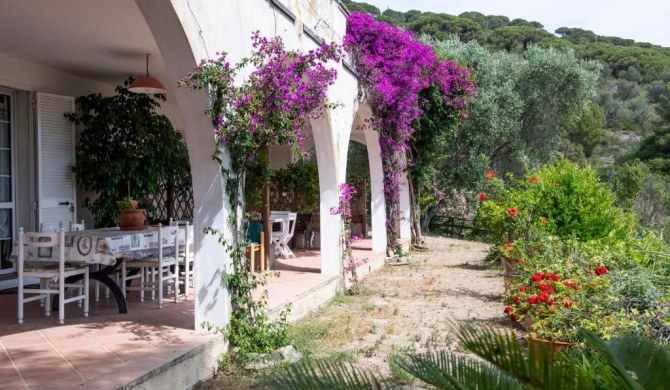 La Palazzina nel Verde