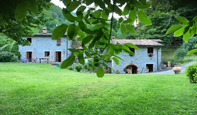 Relax totale nel Bosco Lucca