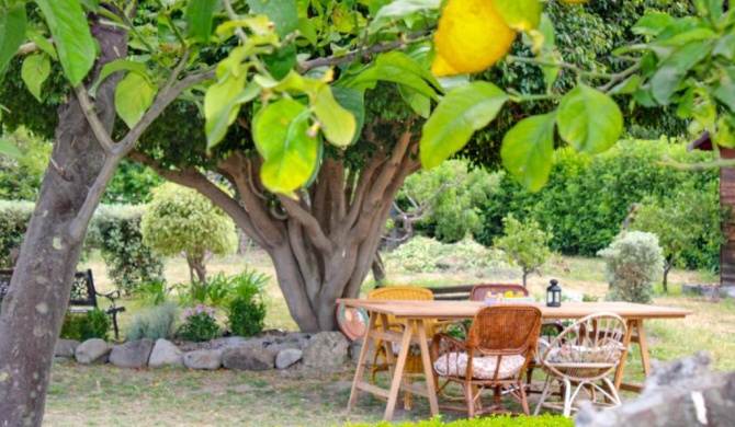 La Casa di Lina - Capo d'Orlando, casa con ampio giardino