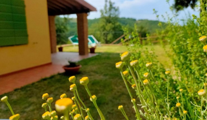 Villa sulle Colline Toscane con Piscina