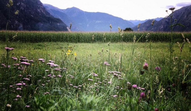 Agriturismo Summus Lacus