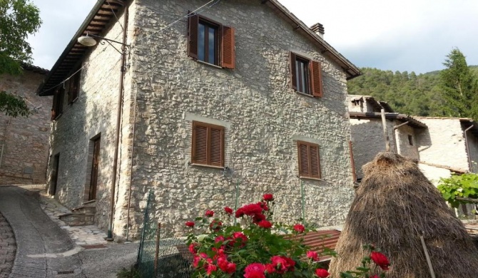 L'oasi di zio Franco