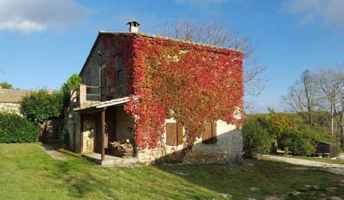 Silence and relaxation in the woods of Umbria