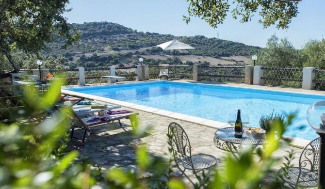 Villa Olive tree, immersa nella natura per relax e quiete