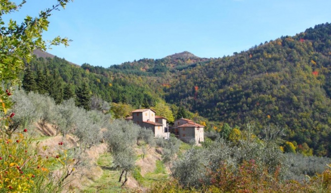 Locazione Turistica La Torre