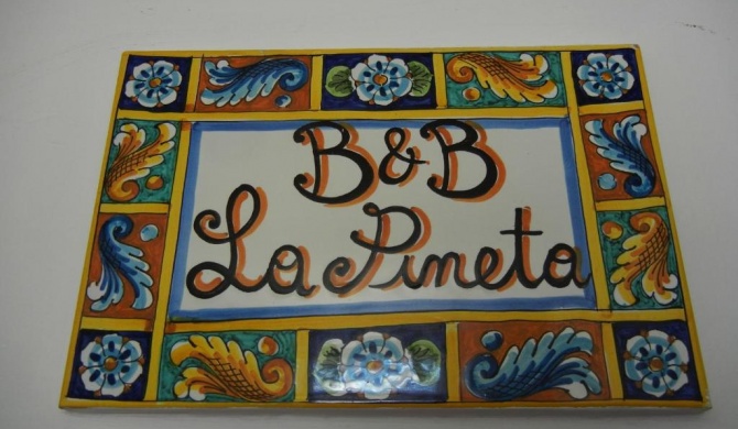 B&B La Pineta