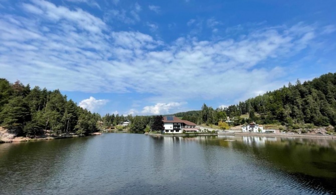 Hotel Am Wolfgrubenersee